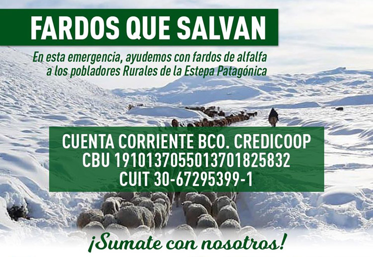 Campaña de Cáritas para evitar que el ganado muera por las nevadas