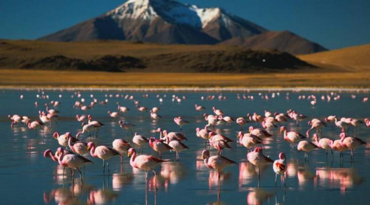 Caritas Chile impulsa trabajo sobre cambio climático en tres diócesis