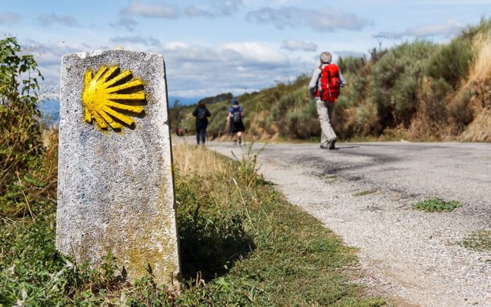 El "Camino de Santiago Challenge" invita a los jóvenes a peregrinar online