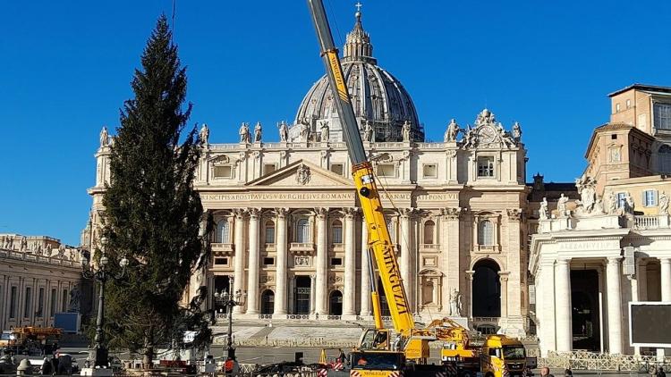 Francisco: "Jesús, el 'Signo' admirable que Dios dona al mundo"