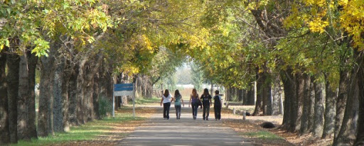 Programa de Extensión Universitaria y Formación al Trabajo en la Mariápolis Lía