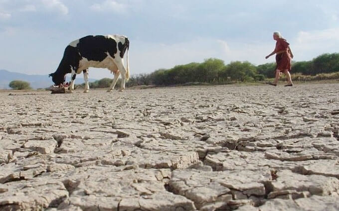 Crisis ecológica: ¡No hay más tiempo para esperar, tenemos que actuar!, pidió el Papa