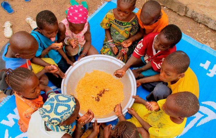 El Papa a la FAO: Superar la fría lógica del mercado y fortalecer la de la solidaridad