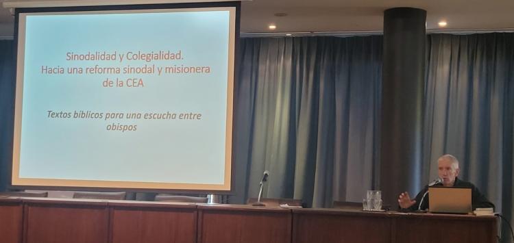 Asamblea Plenaria: los obispos reflexionan sobre la colegialidad y la sinodalidad