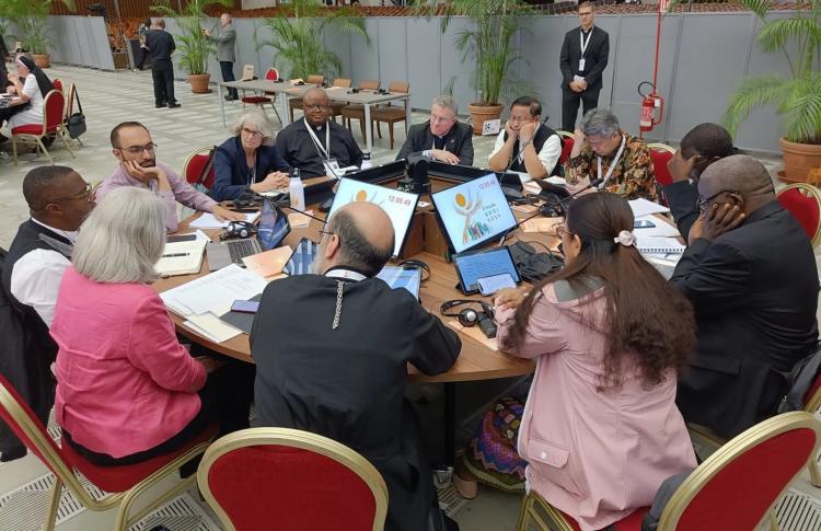 Asamblea sinodal: la 'Carta al Pueblo de Dios', en proceso de preparación