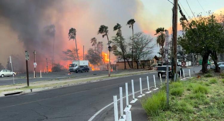 Dolor del Papa por las víctimas de los incendios en Hawái