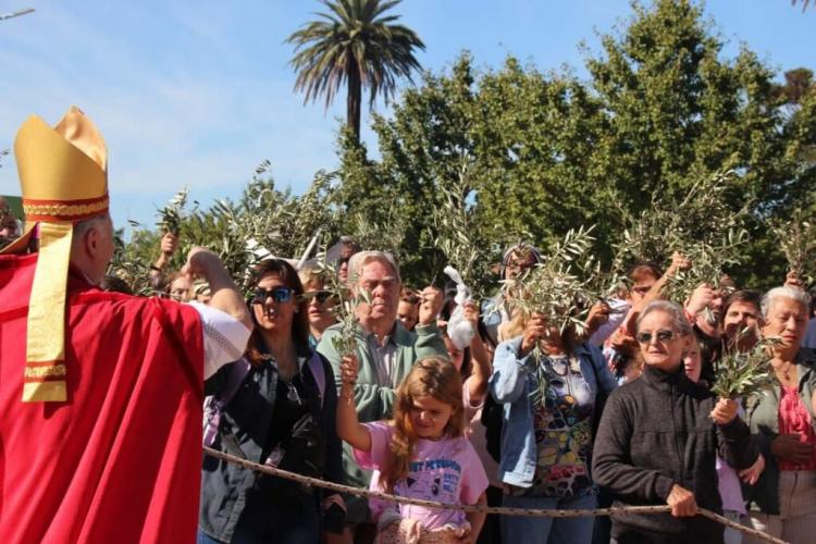 Domingo de Ramos: reflexiones episcopales para vivir la Semana Santa