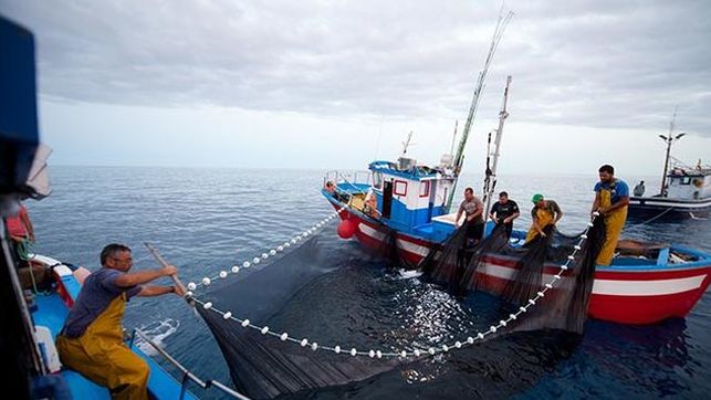 El Card. Czerny pidió que se respeten los derechos de los trabajadores del mar