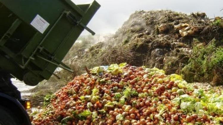 El Papa: 'Los alimentos desperdiciados podrían terminar con el hambre'