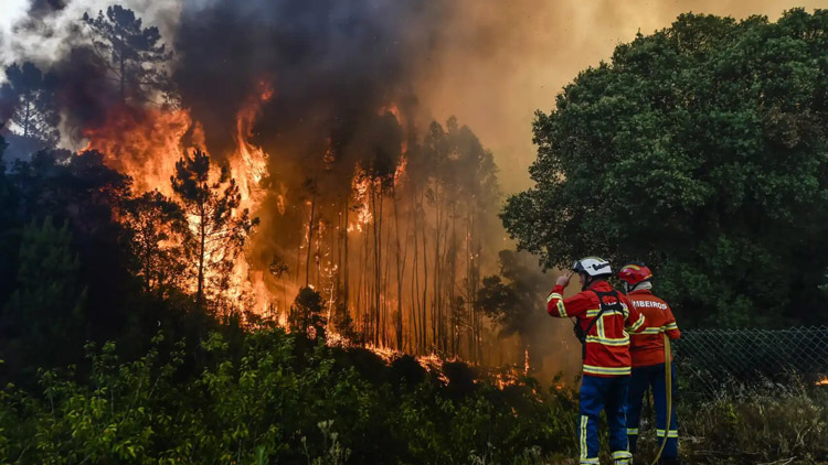 España:  La Iglesia da cobijo a los afectados por el fuego