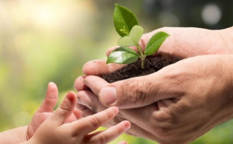 España: proponen incluir la 'conciencia ecológica' en la catequesis de los niños