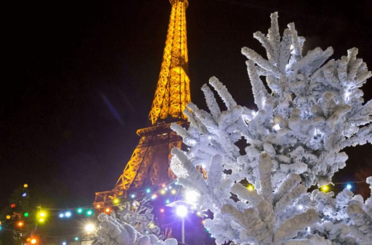 Francia: ante proyectos de eutanasia, la Iglesia rezó por la vida en Navidad