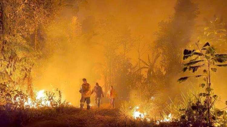 Incendios en Bolivia: 'Vivimos un desastre ecológico', lamentan los obispos