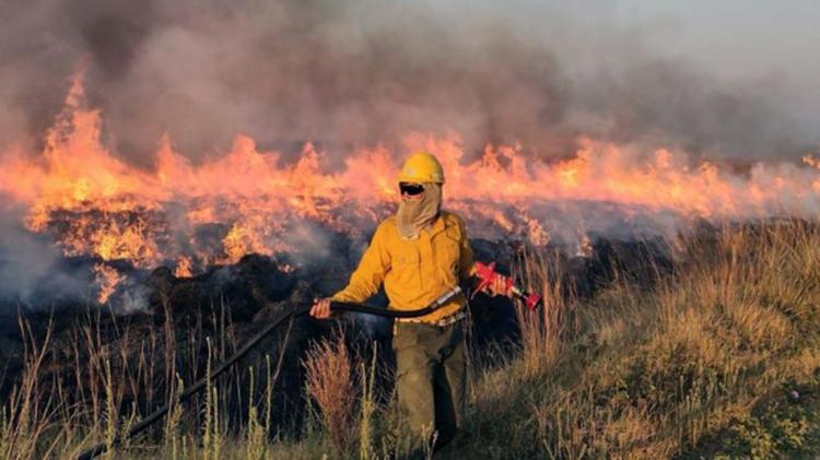 La asistencia de Cáritas, fundamental en los incendios de Corrientes y Misiones