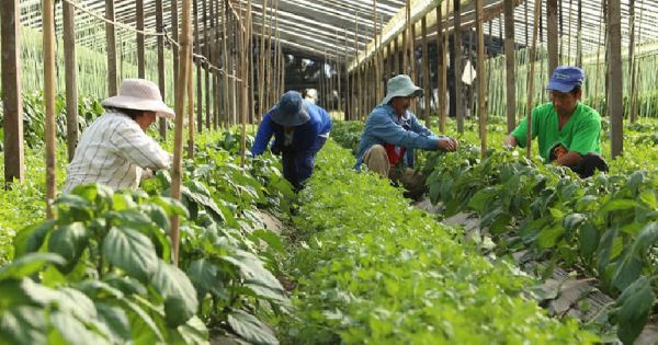 La CNJP reivindica y apoya la agricultura familiar, campesina e indígena