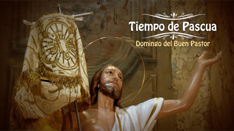 La misa del domingo del Buen Pastor se podrá seguir desde los hogares