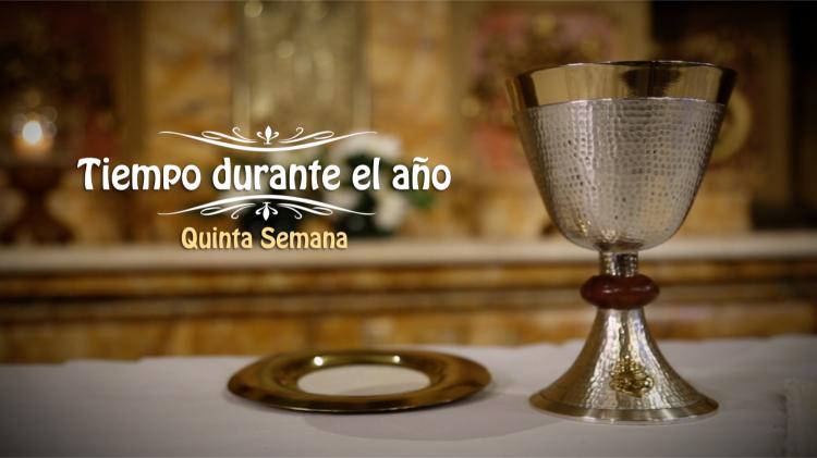 La misa del quinto domingo del tiempo ordinario, por TV, radio y streaming