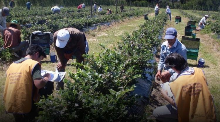 La Pastoral Social del NOA preocupada por la situación laboral en la región