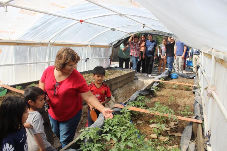 Los salesianos instruyen a niños y jóvenes en la sustentabilidad ambiental