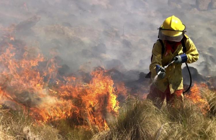 Mons. Araya: 'Que se terminen los incendios y se agrande la compasión entre nosotros'