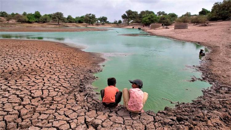 Mons. Lozano reflexiona sobre la cuestión ambiental a la luz de un documento papal