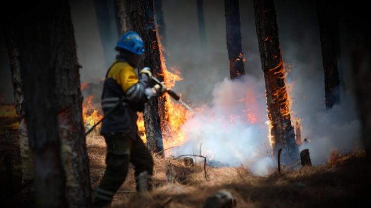 Mons. Margni pidió oración a su diócesis por los incendios en Corrientes