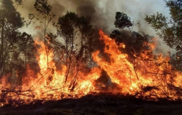 Oración y ayuda de los correntinos ante los incendios que arrasan con la provincia