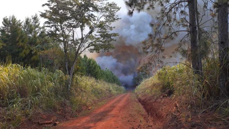 Preocupación de los obispos del NEA ante incendios rurales